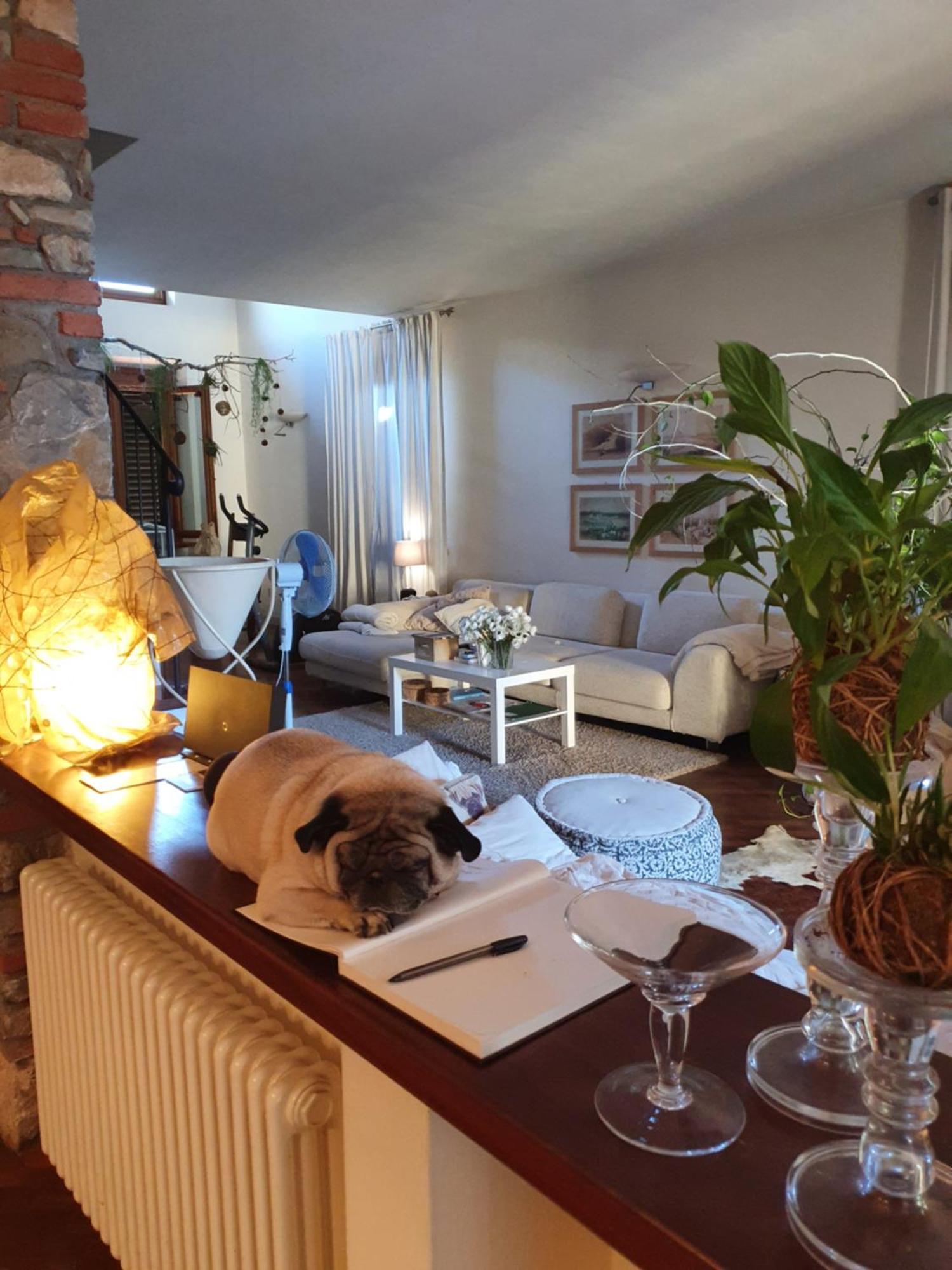Pietra E Glicine Bed & Breakfast Pieve a Nievole